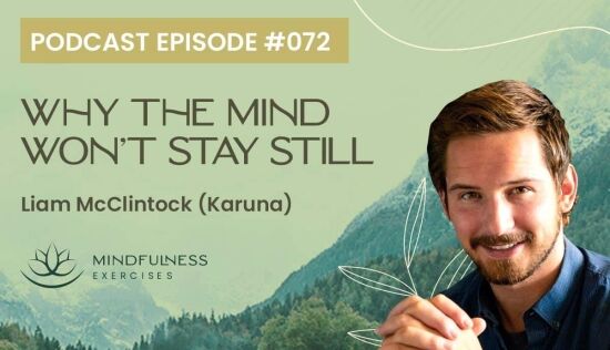 Why the Mind Won’t Stay Still, with Liam McClintock (Karuna) Why the Mind Won’t Stay Still, with Liam McClintock (Karuna)