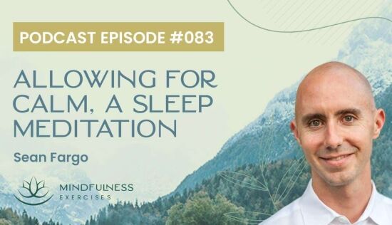 Allowing for Calm, A Sleep Meditation with Sean Fargo Allowing for Calm, A Sleep Meditation with Sean Fargo