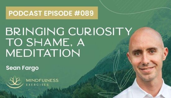 Bringing Curiosity to Shame, A Meditation with Sean Fargo Bringing Curiosity to Shame, A Meditation with Sean Fargo