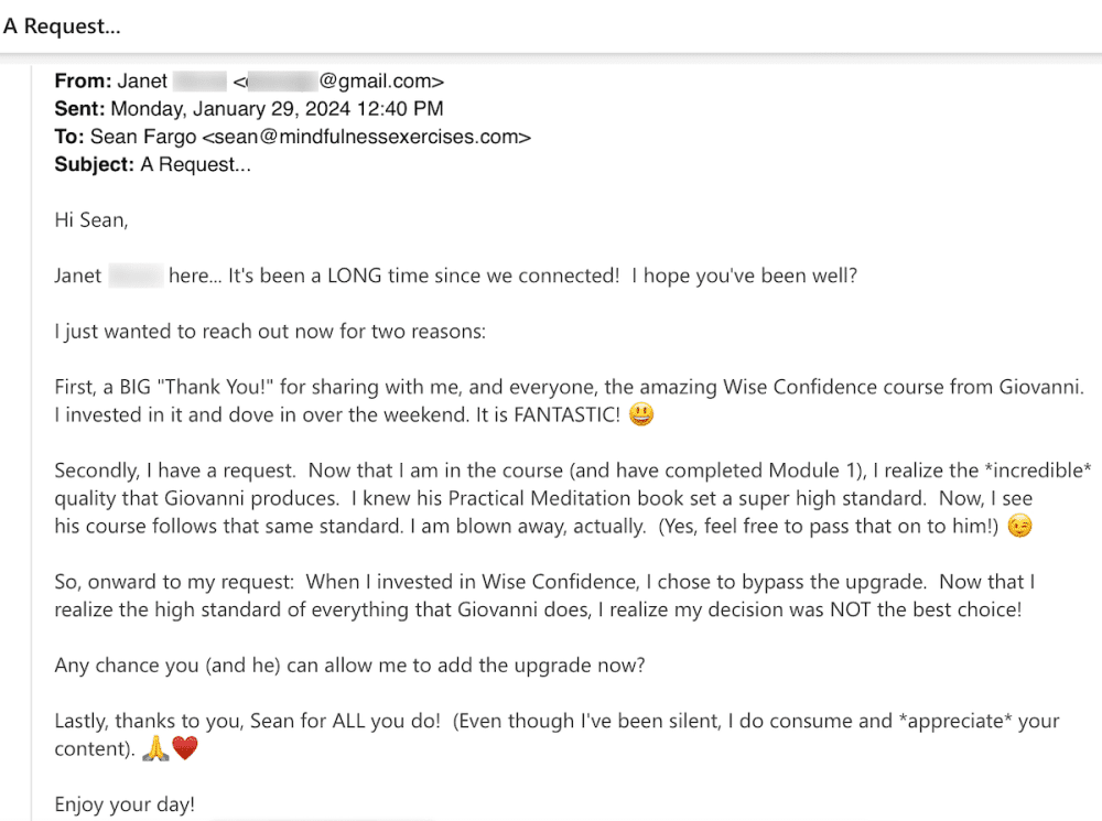 , Wise Confidence for Mindfulness & Meditation Teachers