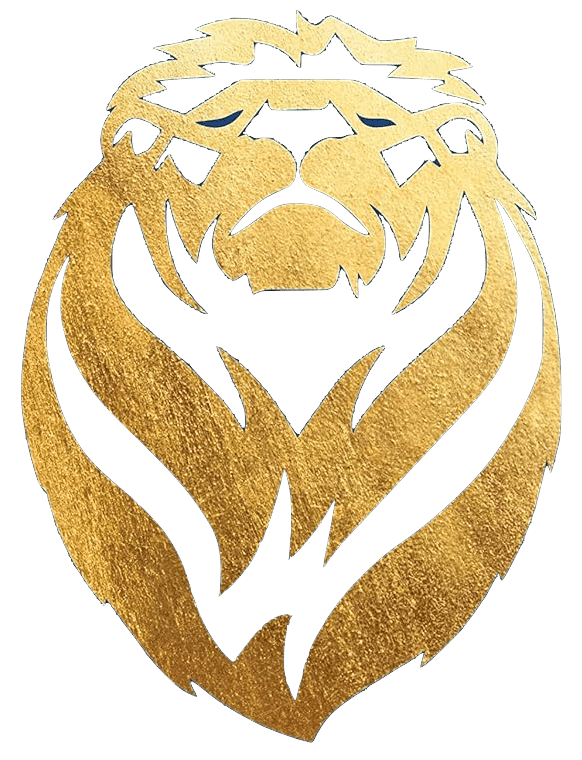 , Wise Confidence for Mindfulness & Meditation Teachers