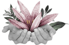 certification, Mindfulness Meditation Teacher Certification