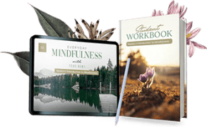 certification, Mindfulness Meditation Teacher Certification