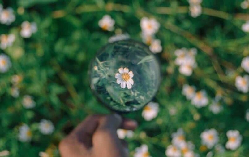 mental health, Why Daily Meditation Is Important for Your Mental Health