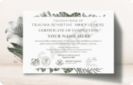 , Mindfulness Teacher Resources