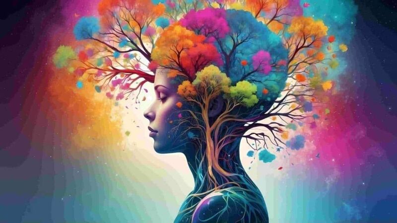 Mindfulness Teacher Training mindfulness journey, Your Mindfulness Update: New Community Connections & Masterclass Wisdom