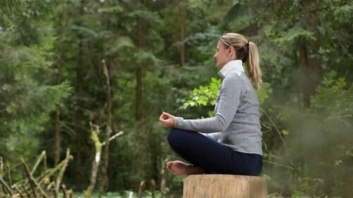 demand for mindfulness teachers, The Rising Demand for Mindfulness Teachers (2026–2030 Industry Forecast)