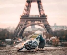 mindfulness exercises for love and compassion, 8 Mindfulness Exercises for Love and Compassion