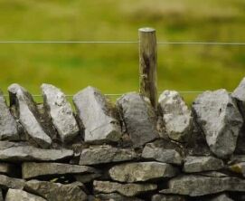 meditation scripts for kids, 7 Meditation Scripts for Kids