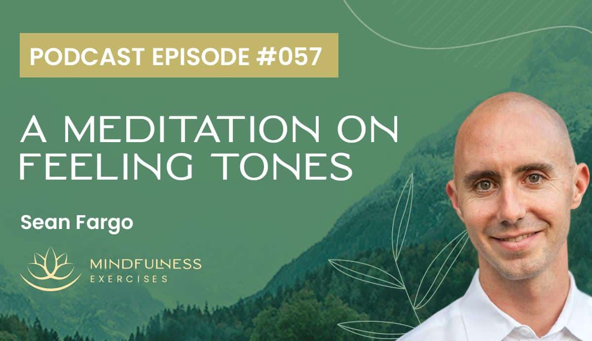 A Meditation on Feeling Tones, with Sean Fargo A Meditation on Feeling Tones, with Sean Fargo