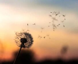 guided meditation script for anxiety, 9 Guided Meditation Scripts for Anxiety