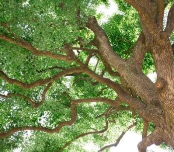 Identifying Your Core Values