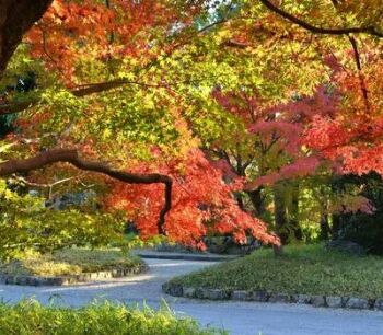 Navigating Change in the Workplace