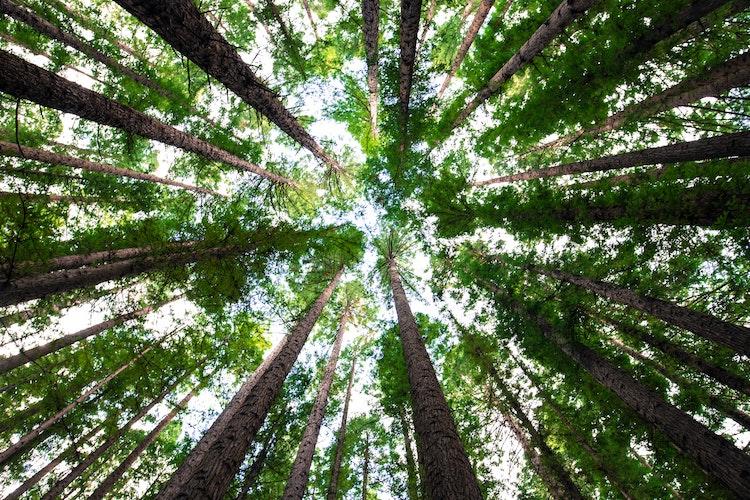 how mindfulness can change the world, How Mindfulness Can Change the World